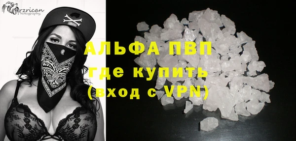 PSILOCYBIN Покачи