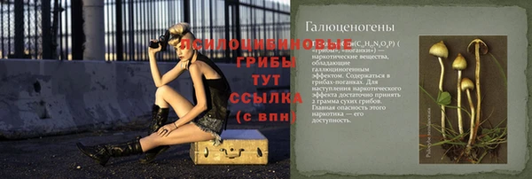 таблы Алексин